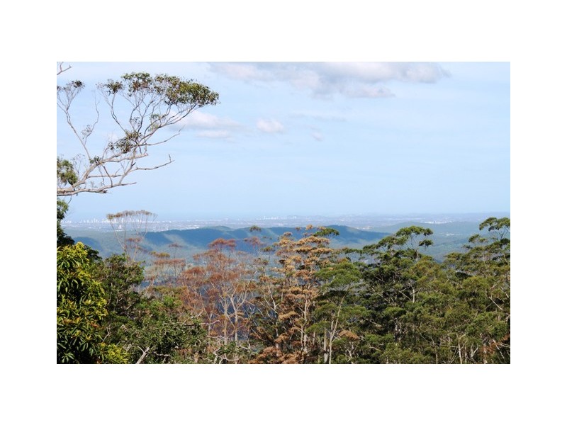11 Cliff Way, Tamborine Mountain QLD 4272