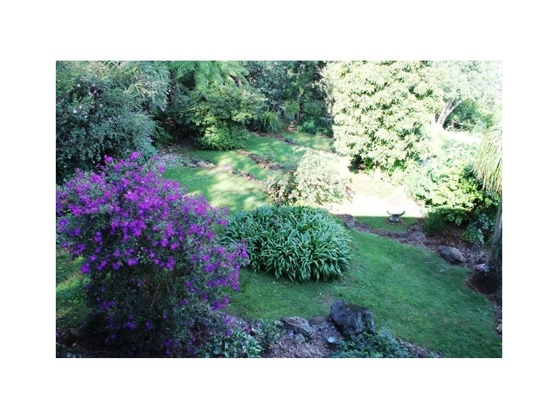 11 Cliff Way, Tamborine Mountain QLD 4272