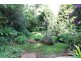 11 Cliff Way, Tamborine Mountain QLD 4272