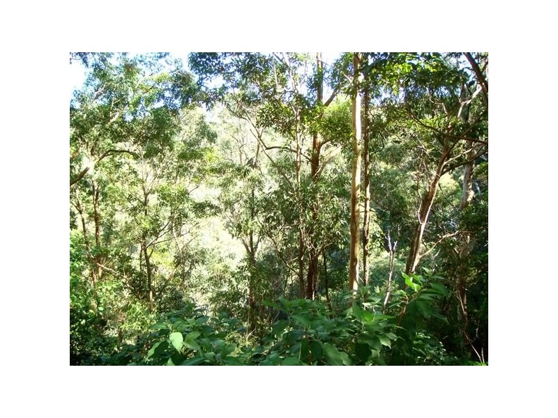 25 Foraker Dve, Eagle Heights QLD 4271