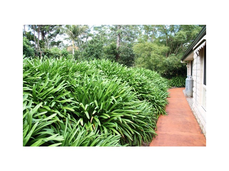 North Tamborine QLD 4272