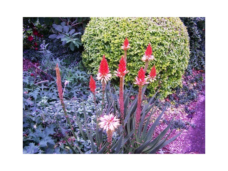 27 Yuulong Street, North Tamborine QLD 4272