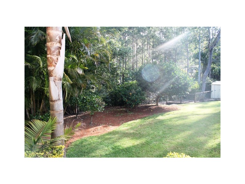 21 Saguaro Court, Tamborine Mountain QLD 4272