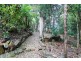 21 Saguaro Court, Tamborine Mountain QLD 4272