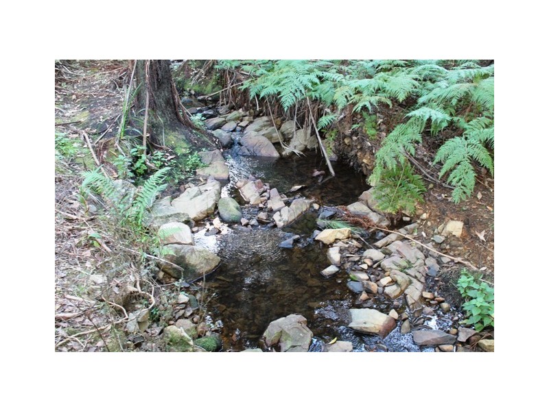 12 Jura Crt, Tamborine Mountain QLD 4272