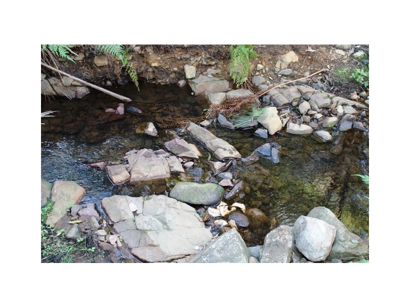 12 Jura Crt, Tamborine Mountain QLD 4272