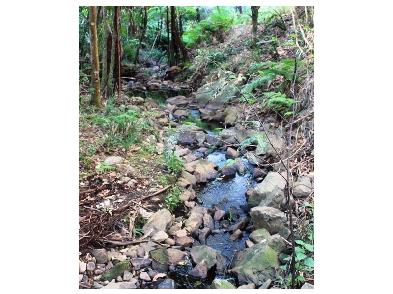 12 Jura Crt, Tamborine Mountain QLD 4272