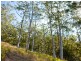 30 Flores Court, Tamborine Mountain QLD 4272