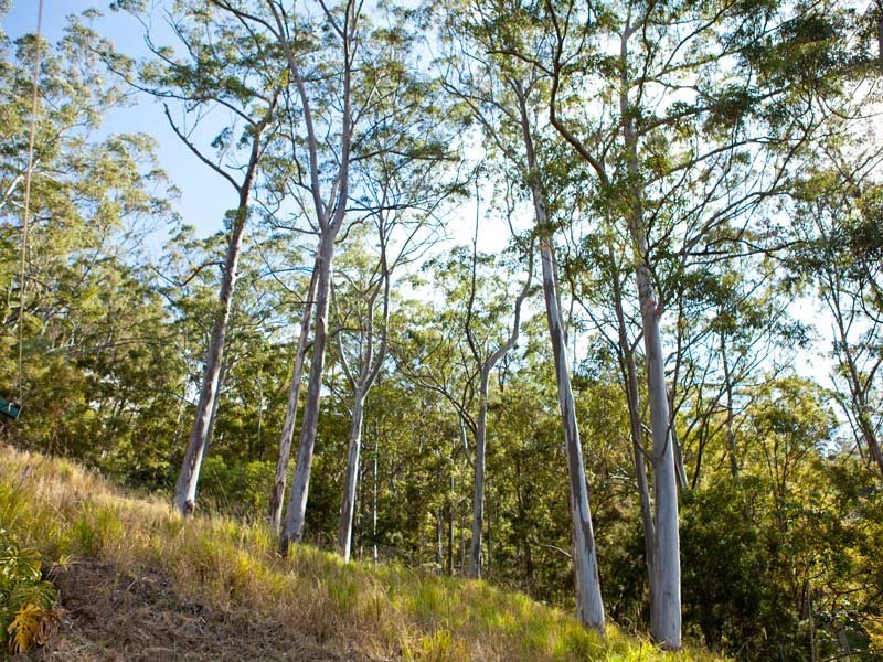 30 Flores Court, Tamborine Mountain QLD 4272