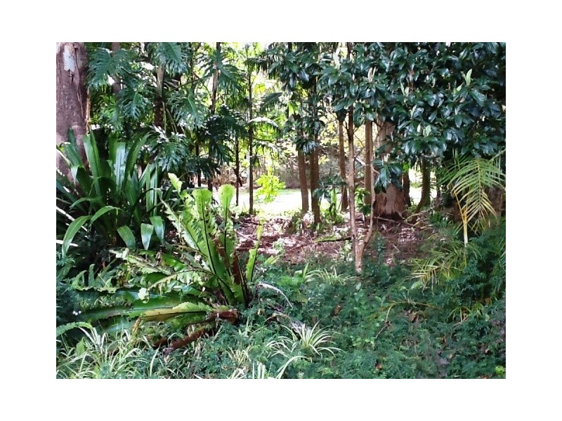 1 Freemont Dve, North Tamborine QLD 4272