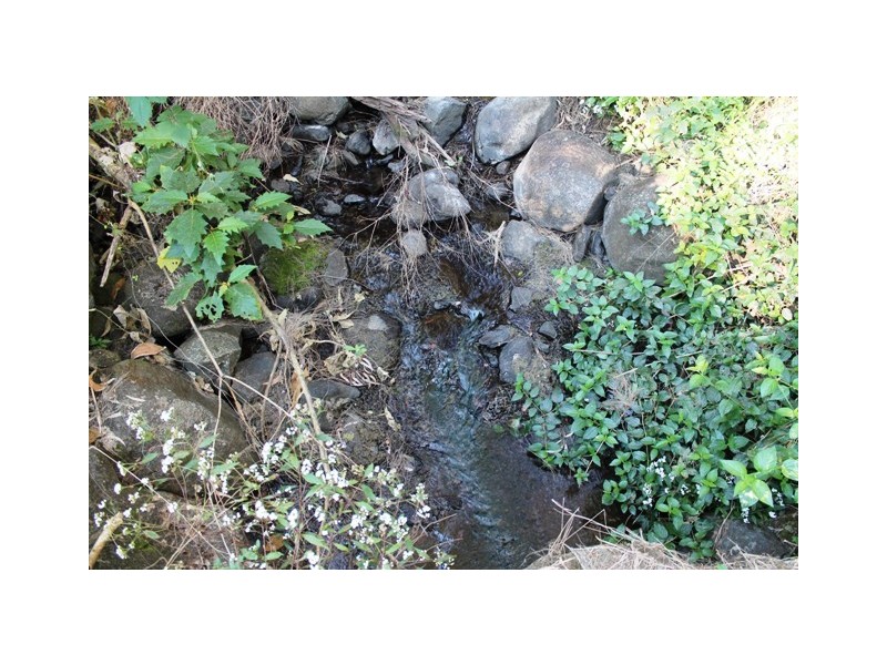 91-99 Murray Grey Rd, Tamborine QLD 4270