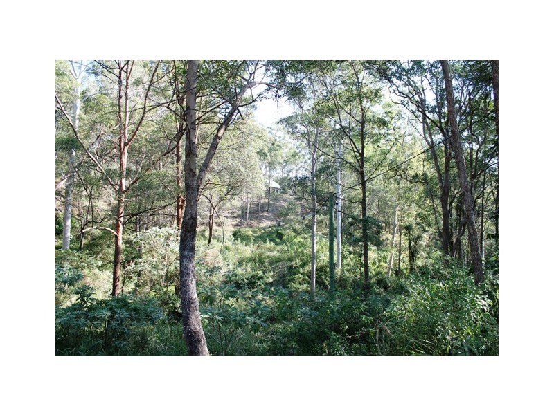 91-99 Murray Grey Rd, Tamborine QLD 4270