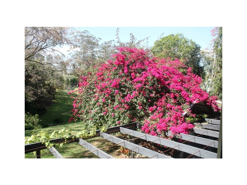 57-61 Alpine Tce, Tamborine Mountain QLD 4272