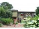 Tamborine Mountain QLD 4272