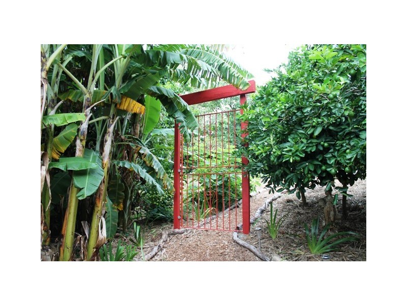 Tamborine Mountain QLD 4272
