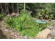 250-254 Guanaba Road, Tamborine Mountain QLD 4272