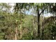 250-254 Guanaba Road, Tamborine Mountain QLD 4272