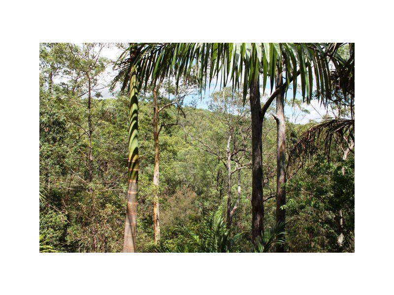 250-254 Guanaba Road, Tamborine Mountain QLD 4272