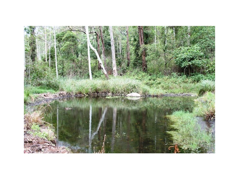 905J Main Western Road, Tamborine Mountain QLD 4272