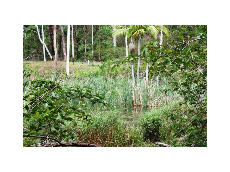 905J Main Western Road, Tamborine Mountain QLD 4272