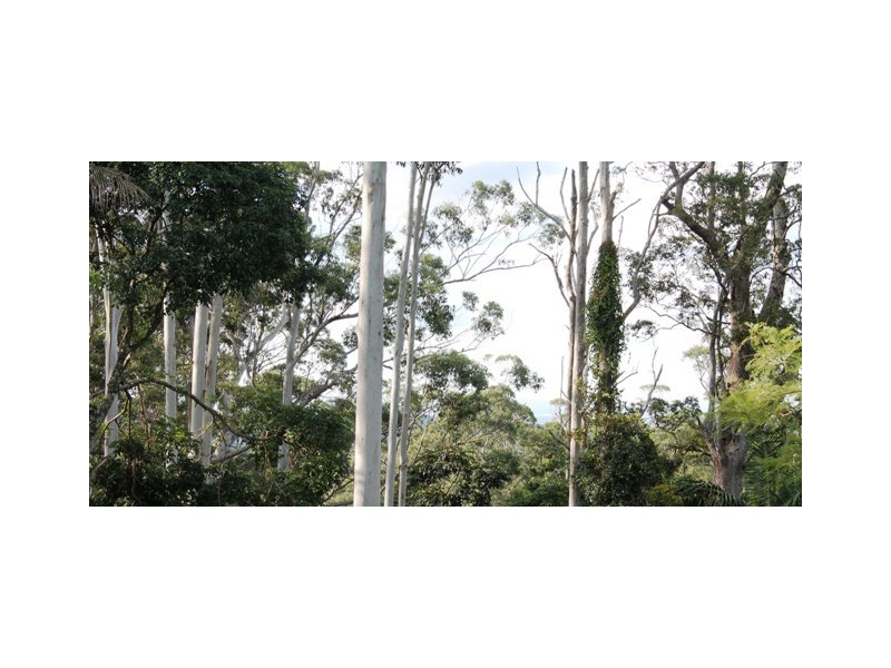 19 Morell Street, Eagle Heights QLD 4271