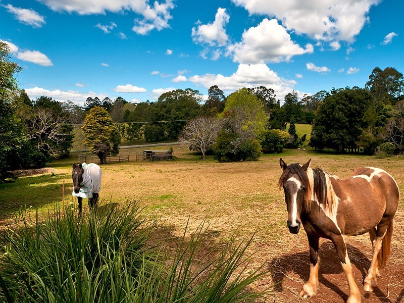 734-738 Main Western Rd, Tamborine Mountain QLD 4272