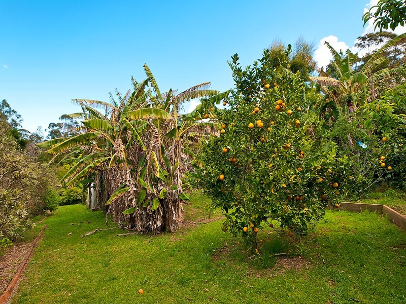 734-738 Main Western Rd, Tamborine Mountain QLD 4272
