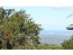 Tamborine Mountain QLD 4272