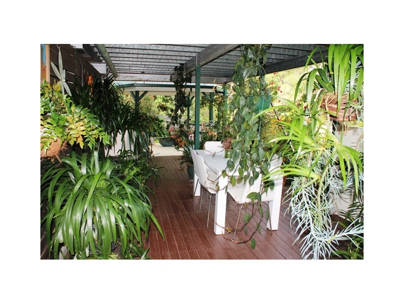 Tamborine Mountain QLD 4272