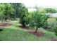 10 Elbert Crt, Tamborine Mountain QLD 4272