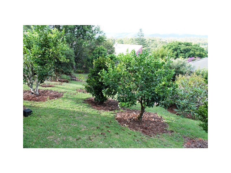 10 Elbert Crt, Tamborine Mountain QLD 4272