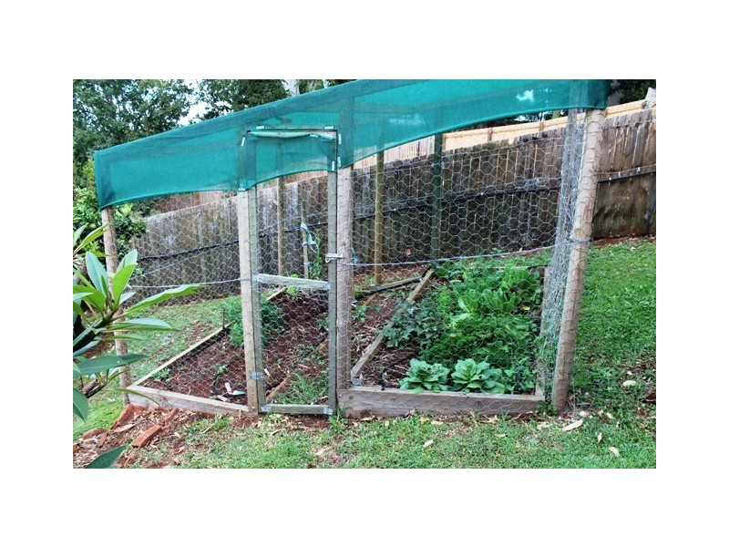 10 Elbert Crt, Tamborine Mountain QLD 4272