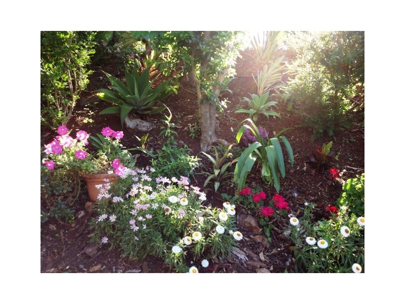 10 Elbert Crt, Tamborine Mountain QLD 4272