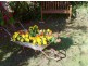 10 Elbert Crt, Tamborine Mountain QLD 4272