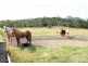 Lot 6 Chantelle Pl, Biddaddaba QLD 4275
