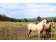 Lot 6 Chantelle Pl, Biddaddaba QLD 4275