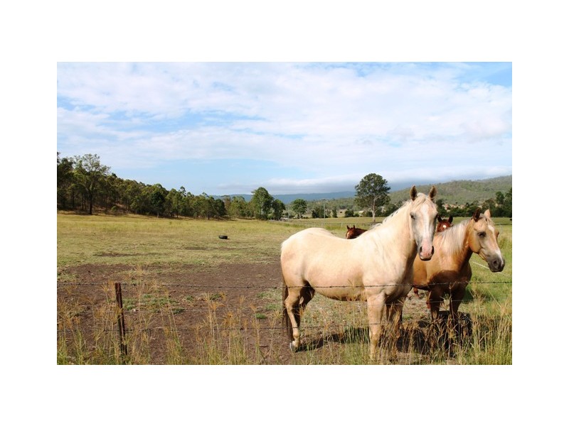 Lot 6 Chantelle Pl, Biddaddaba QLD 4275