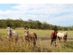 Lot 6 Chantelle Pl, Biddaddaba QLD 4275