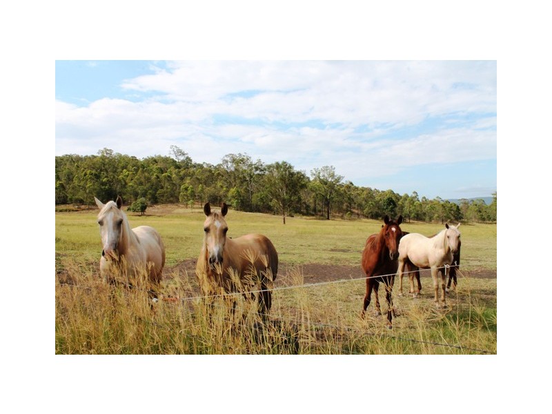 Lot 6 Chantelle Pl, Biddaddaba QLD 4275