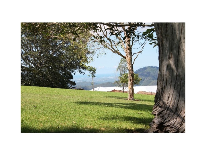 Tamborine Mountain QLD 4272