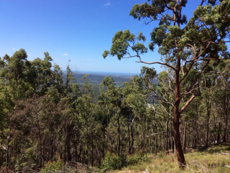 7c Celebes Court, Tamborine Mountain QLD 4272
