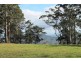 Tamborine Mountain QLD 4272
