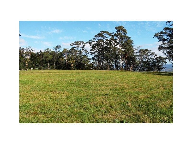 Tamborine Mountain QLD 4272