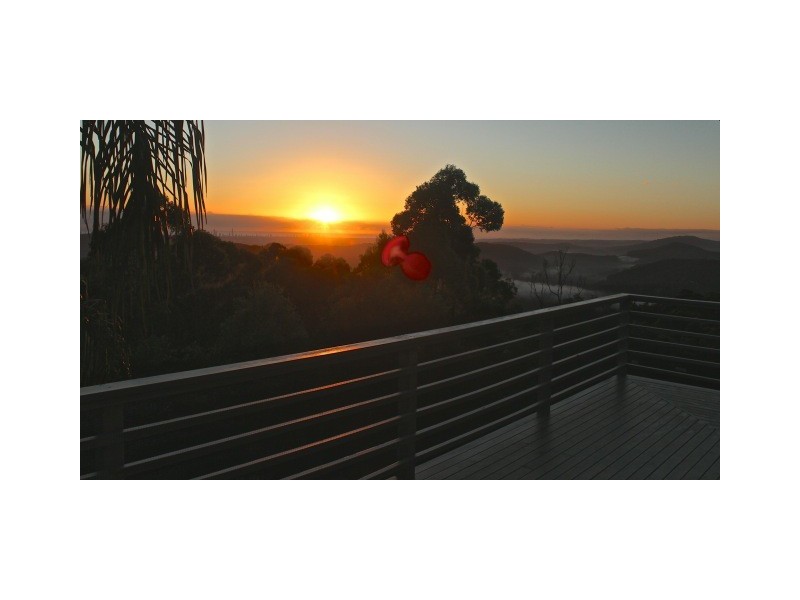 Tamborine Mountain QLD 4272