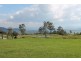 Tamborine Mountain QLD 4272