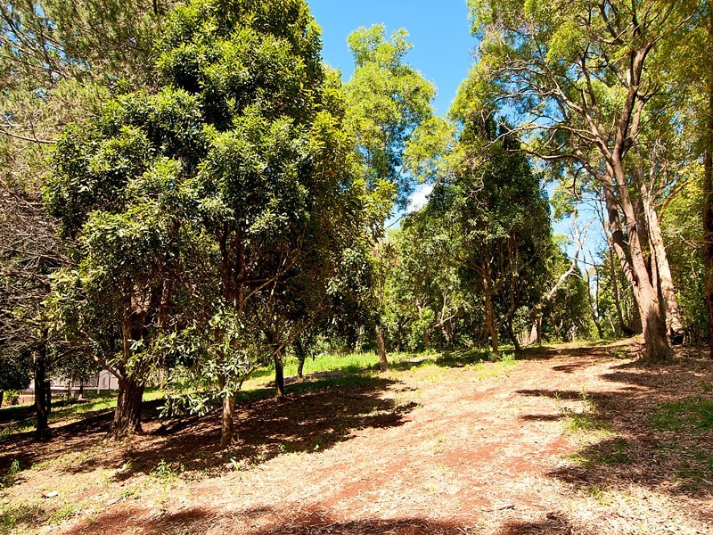 76 to 78 Benowa St, Tamborine Mountain QLD 4272