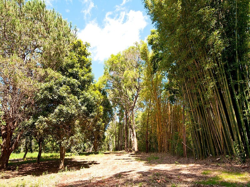 76 to 78 Benowa St, Tamborine Mountain QLD 4272