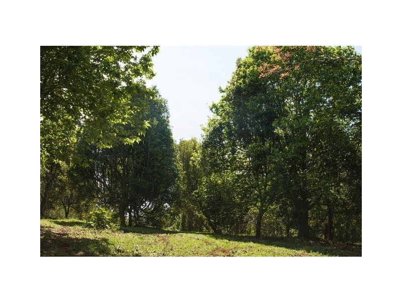 76 to 78 Benowa St, Tamborine Mountain QLD 4272