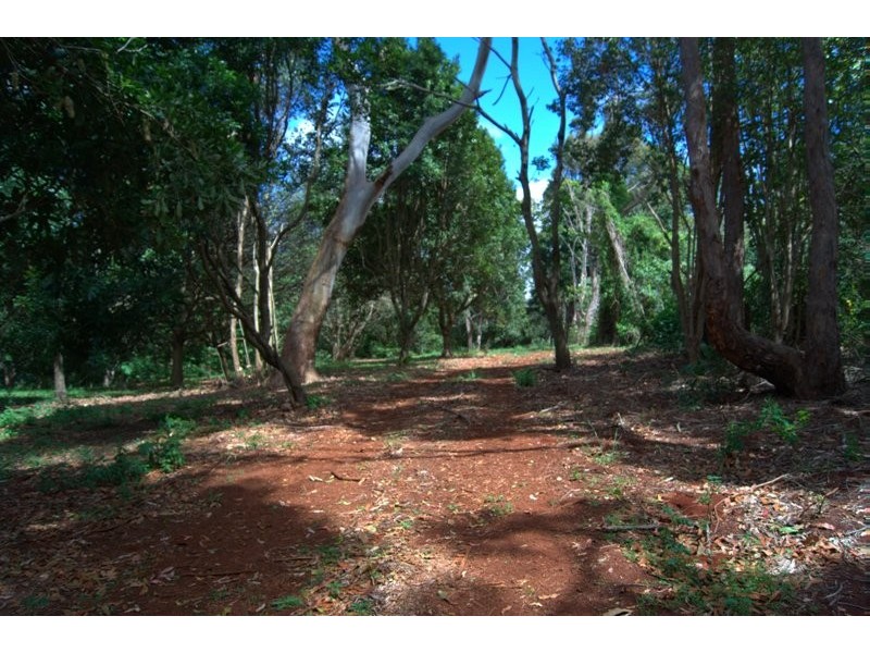 76 to 78 Benowa St, Tamborine Mountain QLD 4272