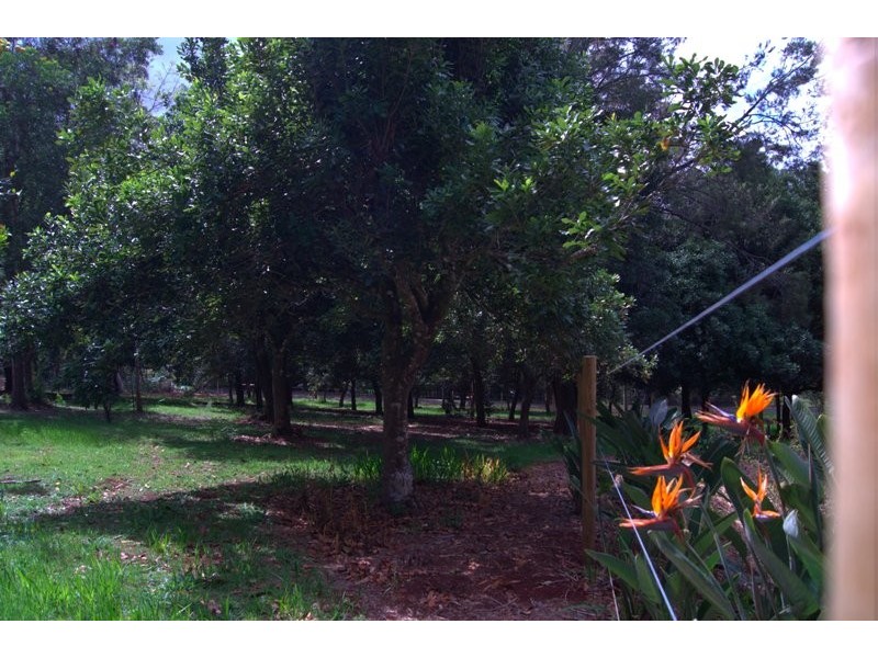 76 to 78 Benowa St, Tamborine Mountain QLD 4272